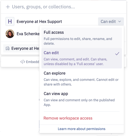 Share dialogue open on a Hex project to share with workspace and an individual user granting Can View App permissions