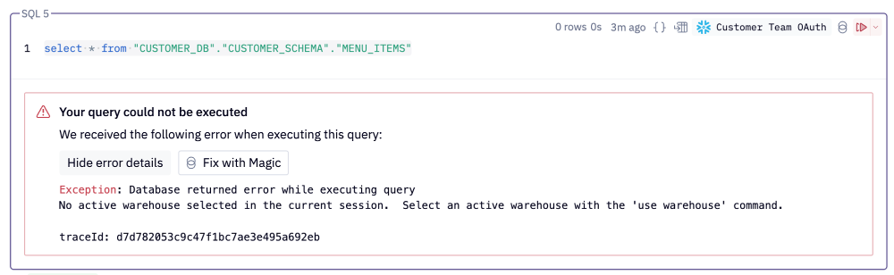 No active warehouse error