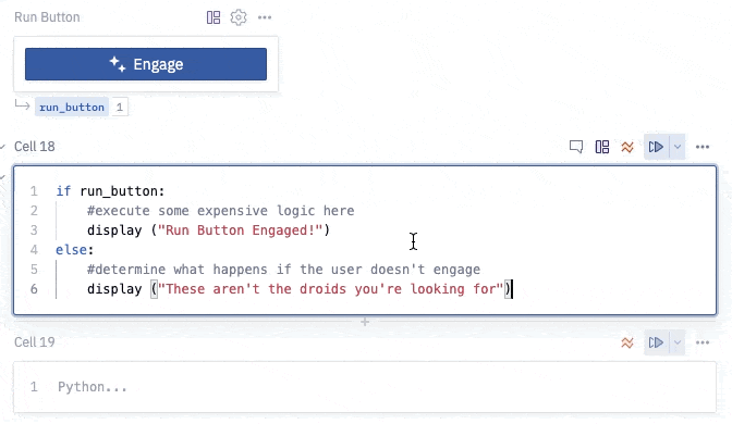 Run button name used in downstream Python conditional logic