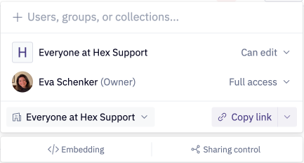 Share dialogue open on a Hex project to share with workspace and an individual user